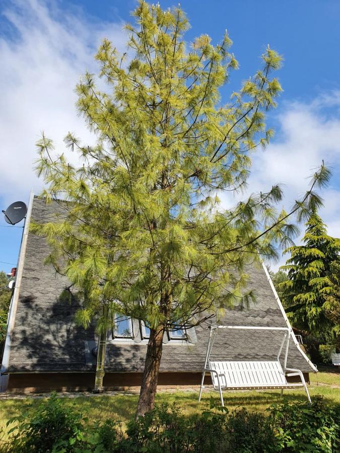 Ferienhaus Am Helenesee 1 فرانكفورت أودر المظهر الخارجي الصورة